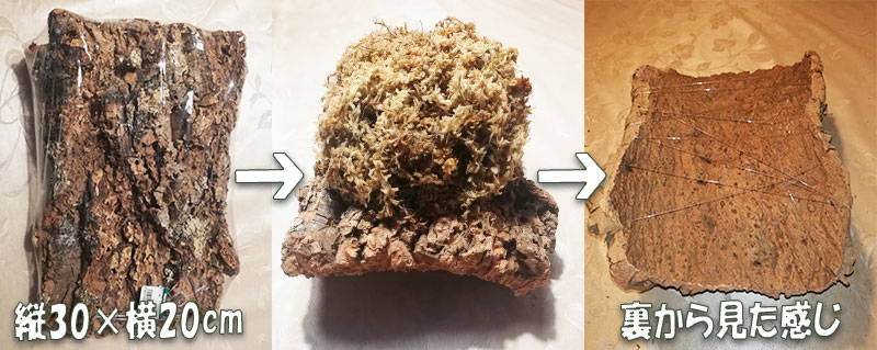 コルクに水苔を盛る画像